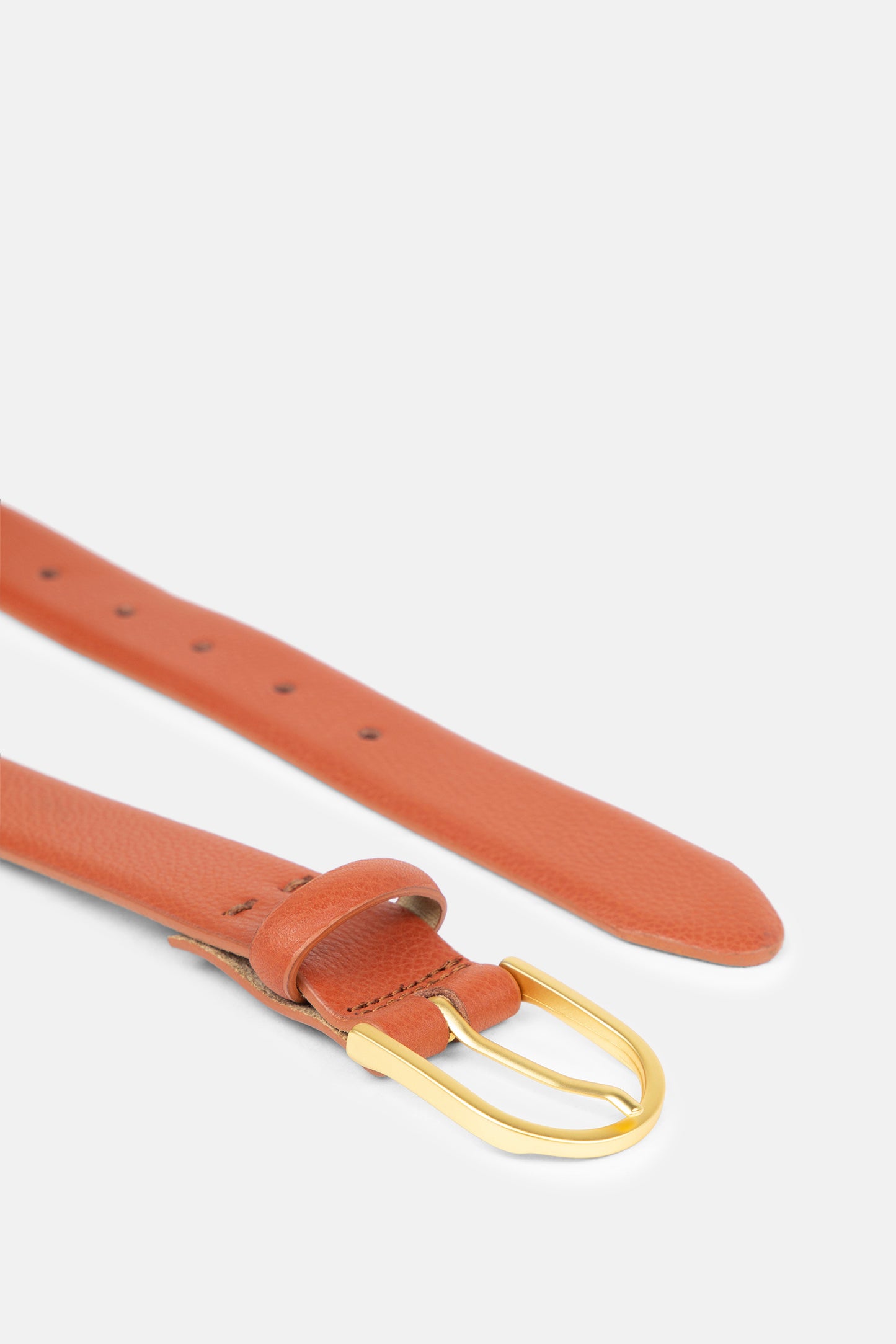 Reflection Belt | Tan