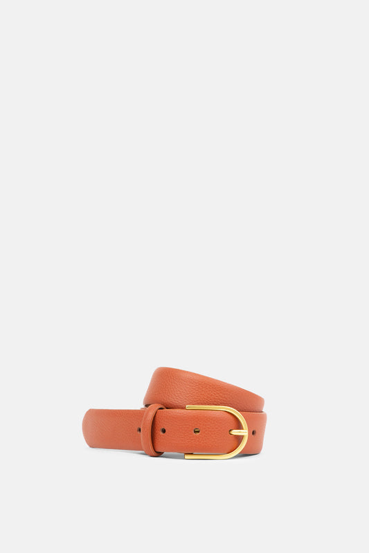 Reflection Belt | Tan